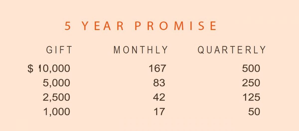 Alumni Promise - 5 Year Breakdown