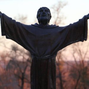 St. Francis Statue at Saint Lawrence Seminary - Thanksgiving 2016