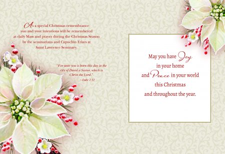 White Poinsettia - Image 2